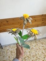 Ridiamo vita agli scarti. Laboratorio di manipolazione e riciclo creativo ***Decorazione floreale***
Decorazione floreale realizzata con rotoli di carta igienica, avanzi di ritagli di feltro e cartoncini e fogli di giornale