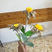 ***Decorazione floreale***
Decorazione floreale realizzata con rotoli di carta igienica, avanzi di ritagli di feltro e cartoncini e fogli di giornale